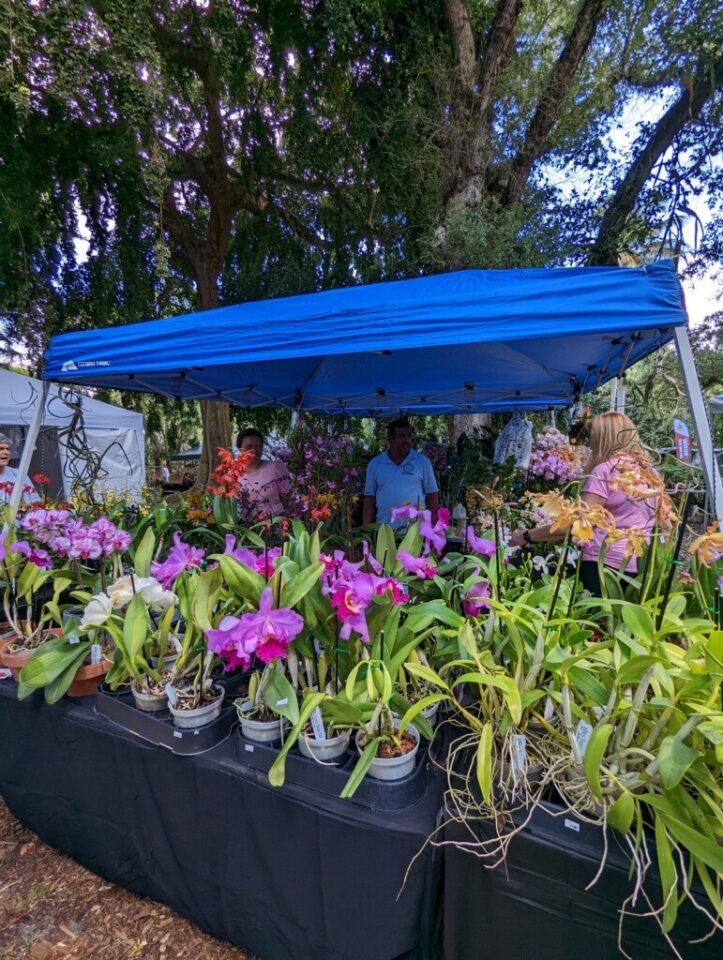 Flamingo Gardens Orchid & Bromeliad Show in Davie (with discount