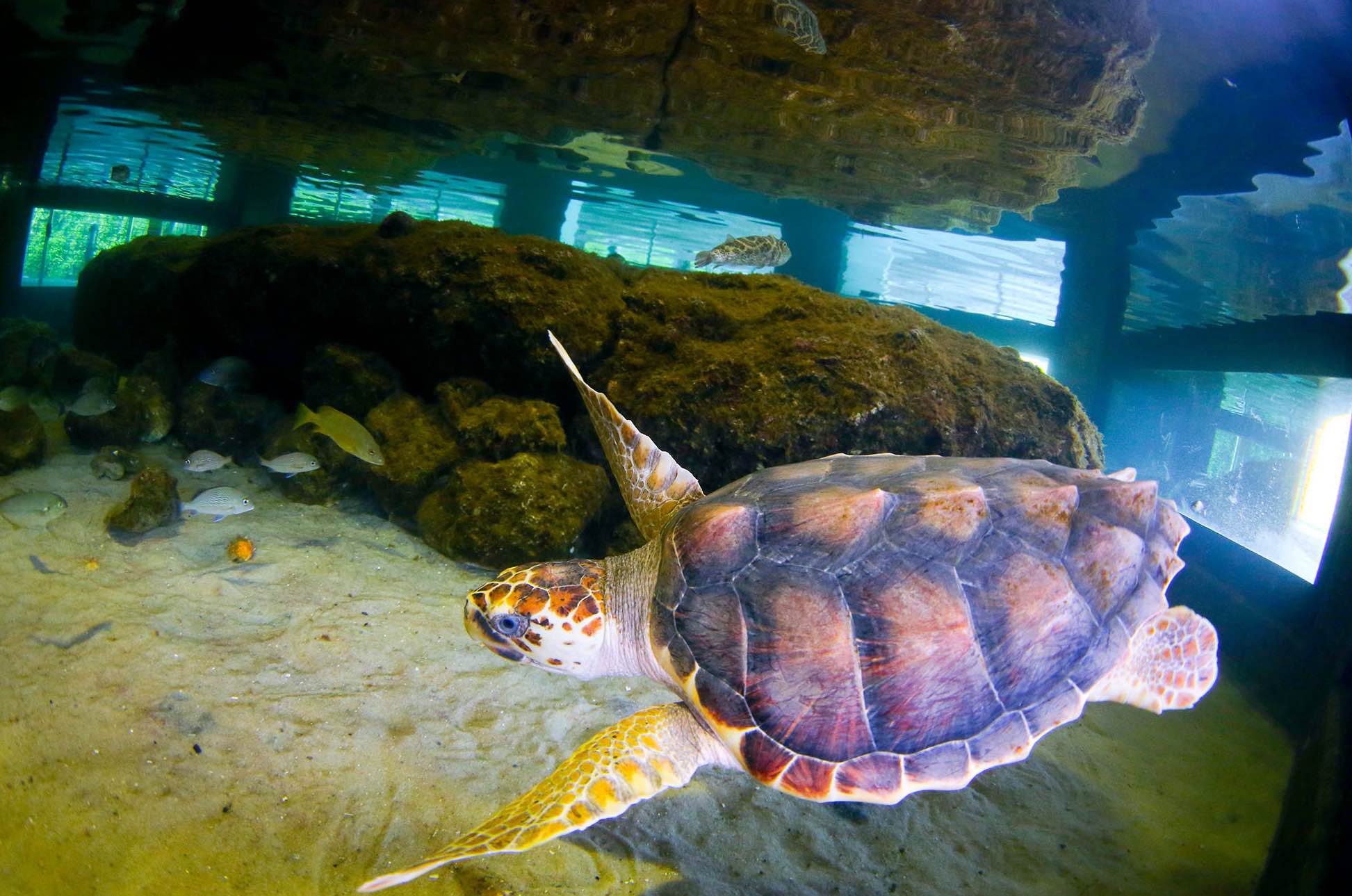 Things to do with kids in South Florida this week