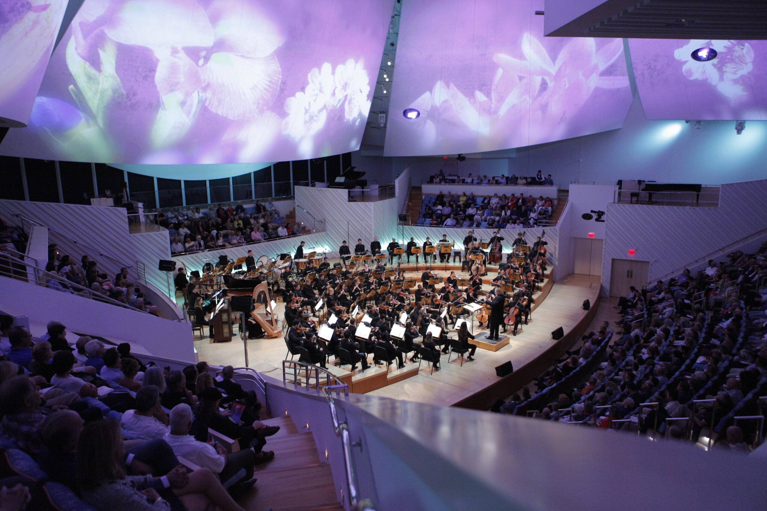 Plan Your Visit to NWS in Miami Beach, New World Symphony