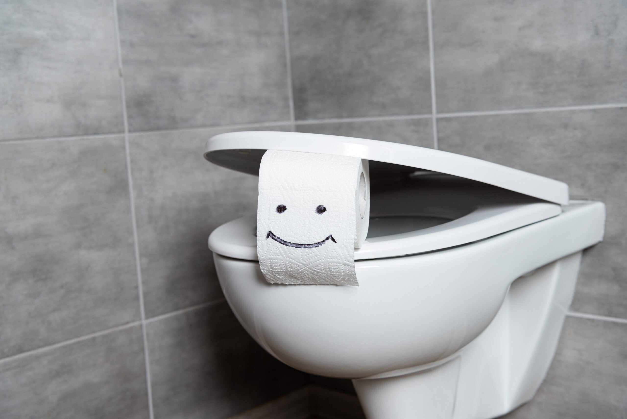 $125 toilet rebate for eligible Broward residents
