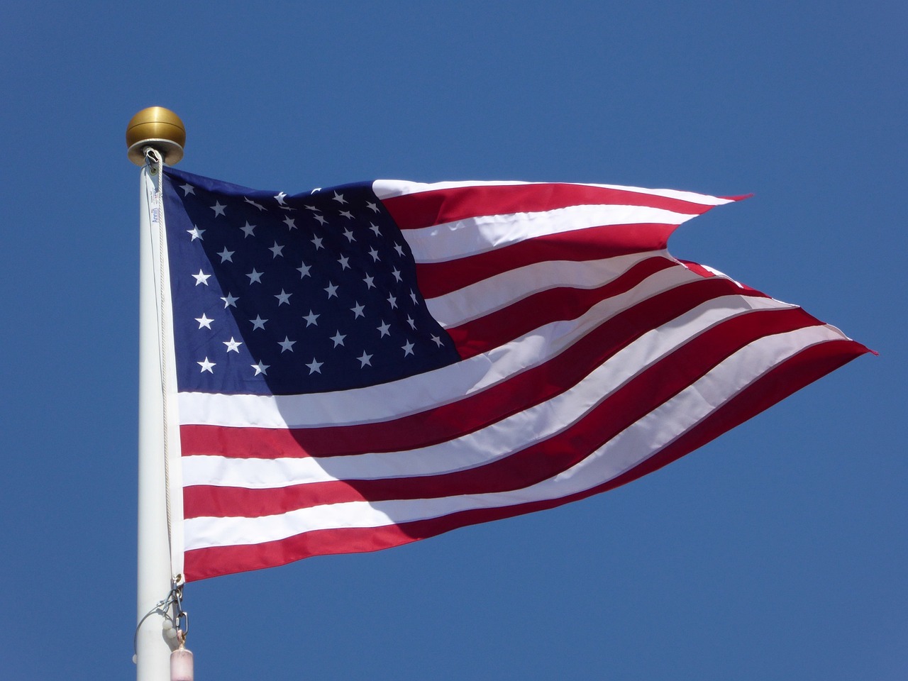 Palm Beach County Veterans Day events
