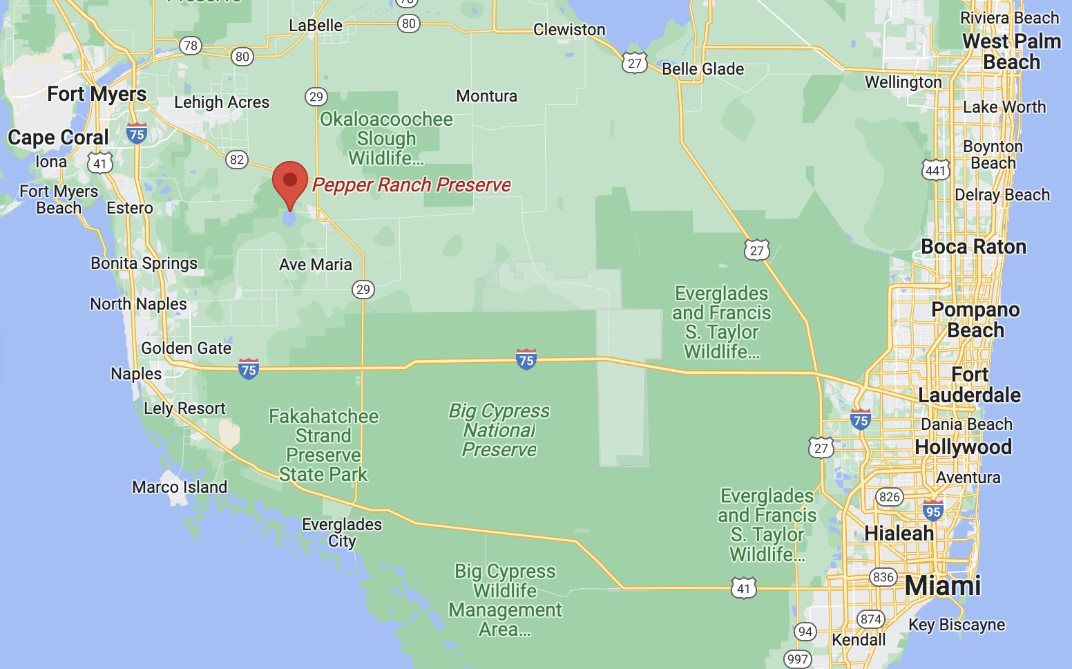 Day trip Pepper Ranch Preserve native sunflower viewing, Immokalee