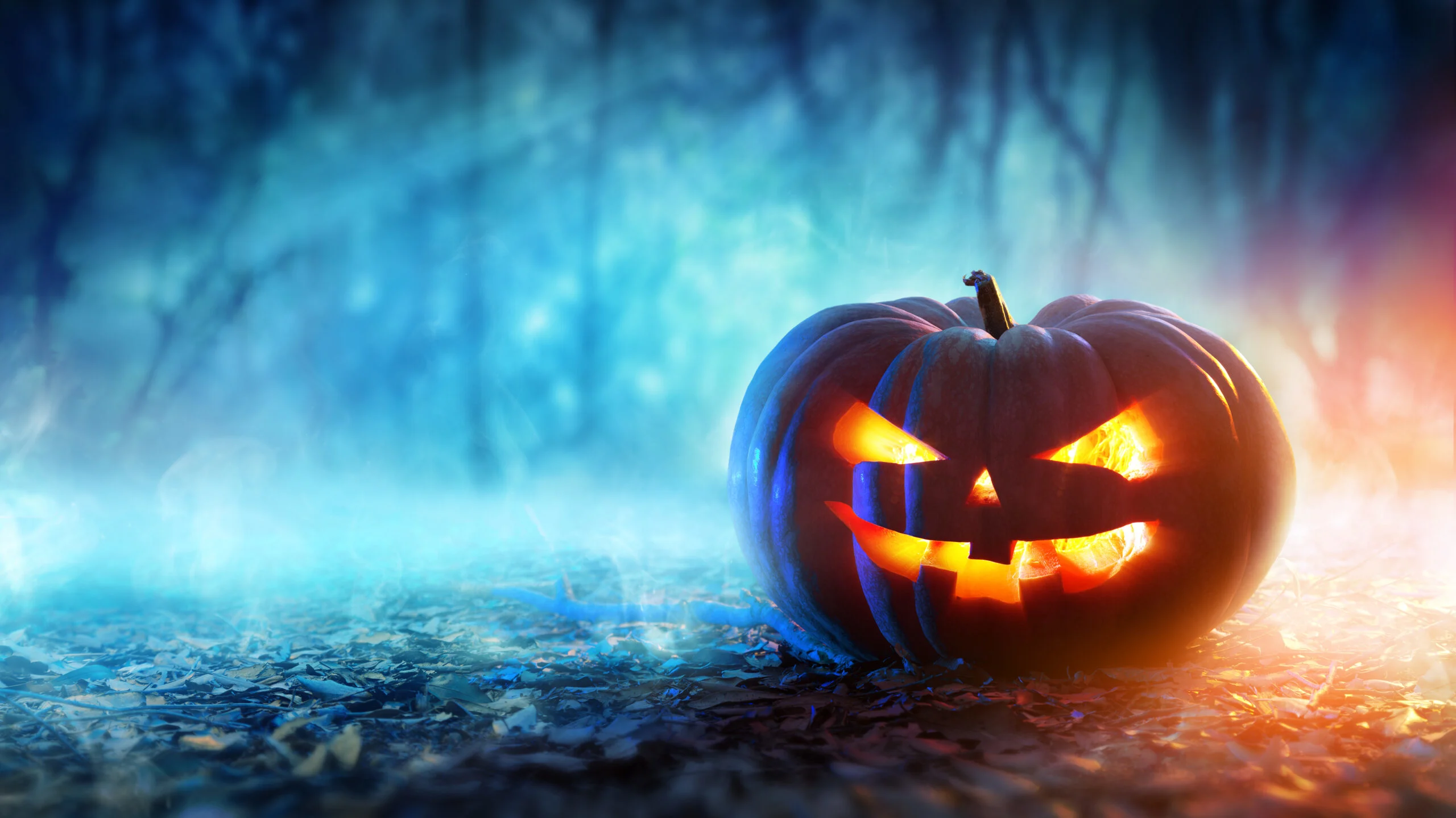 Halloween events for adults in Miami, Broward and Palm Beach counties 2026