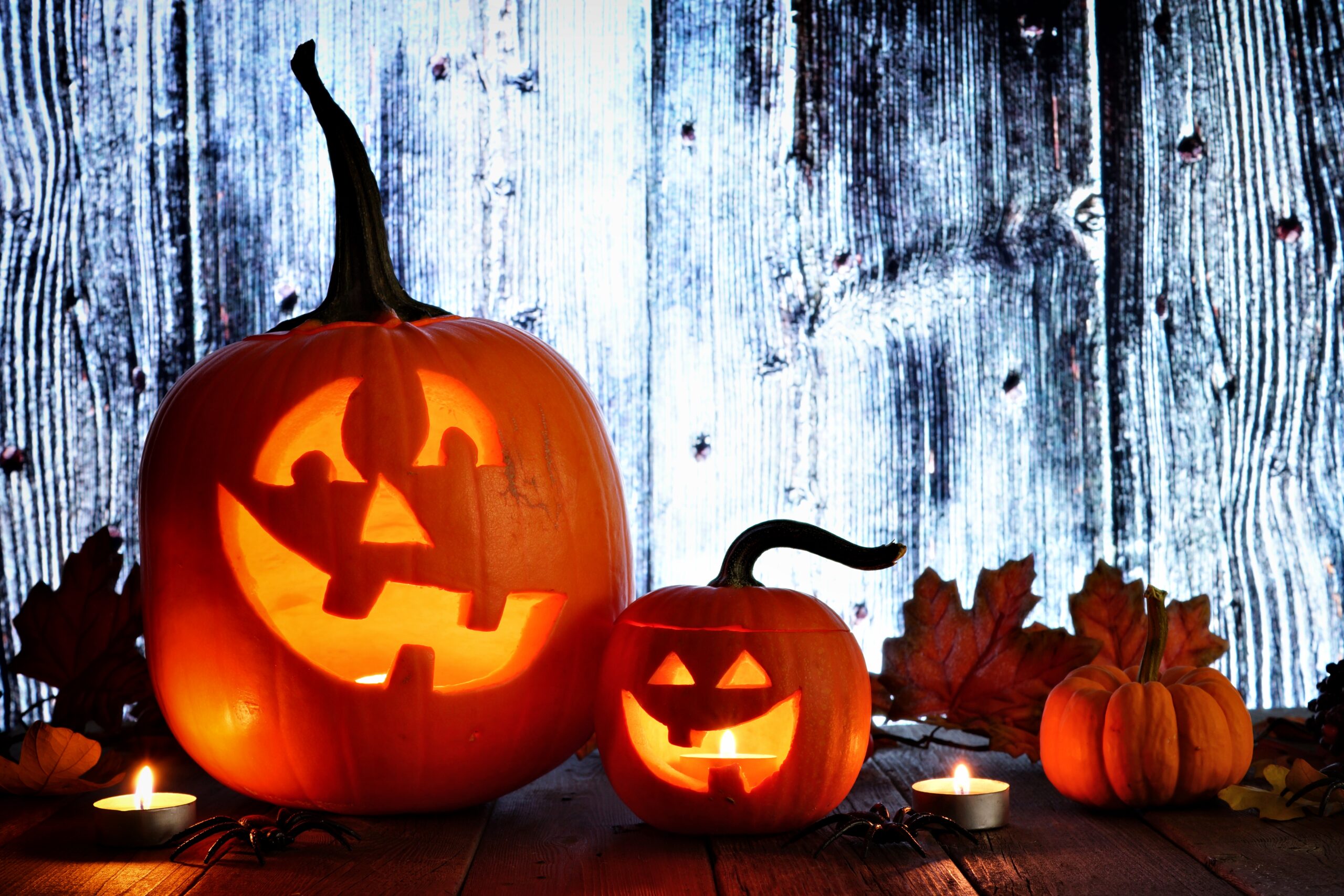 Free Halloween Boo Bash In Pompano Beach South Florida On The Cheap free-halloween-boo-bash-in-pompano-beach-south-florida-on-the-cheap