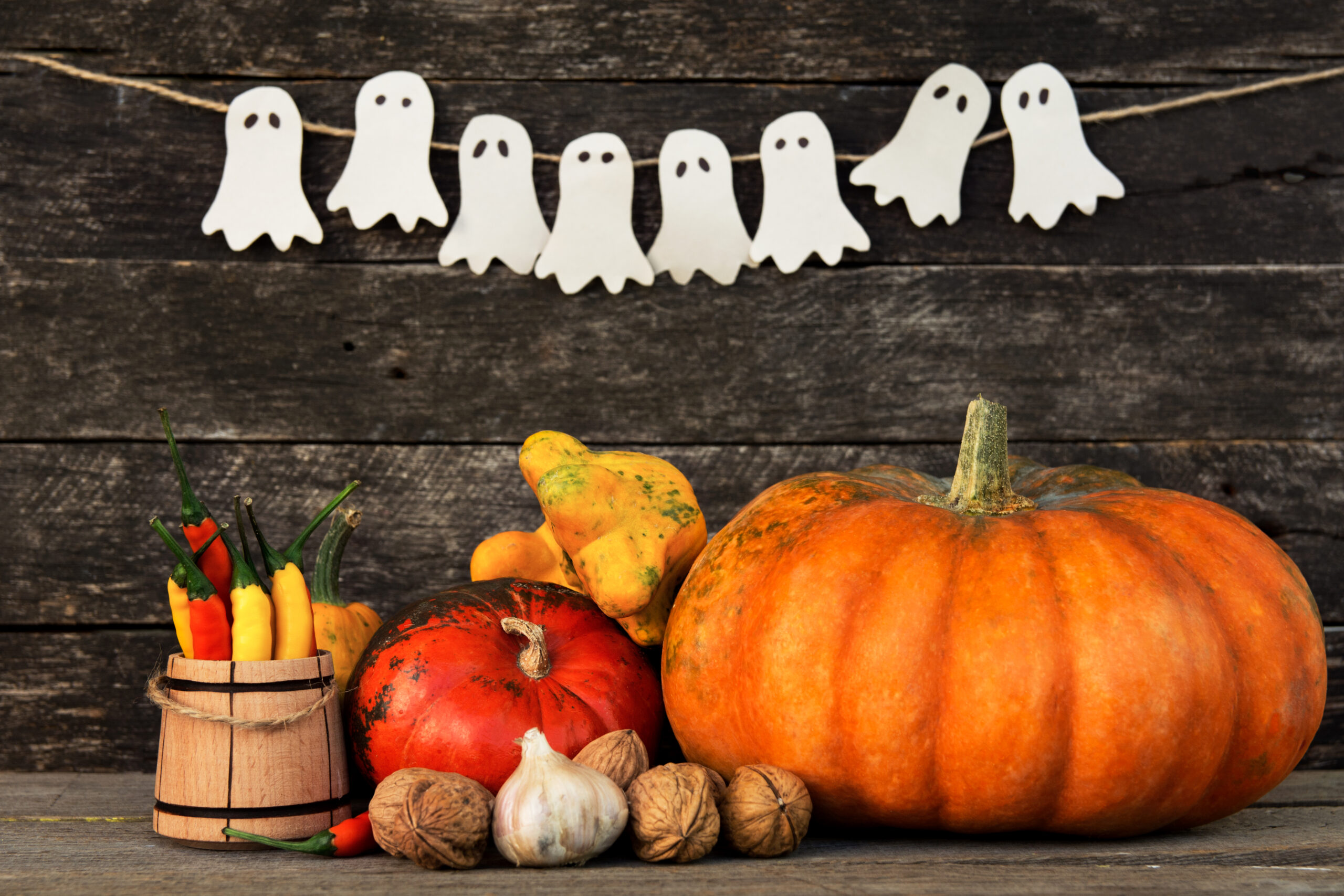 Halloween events in Palm Beach County 2025
