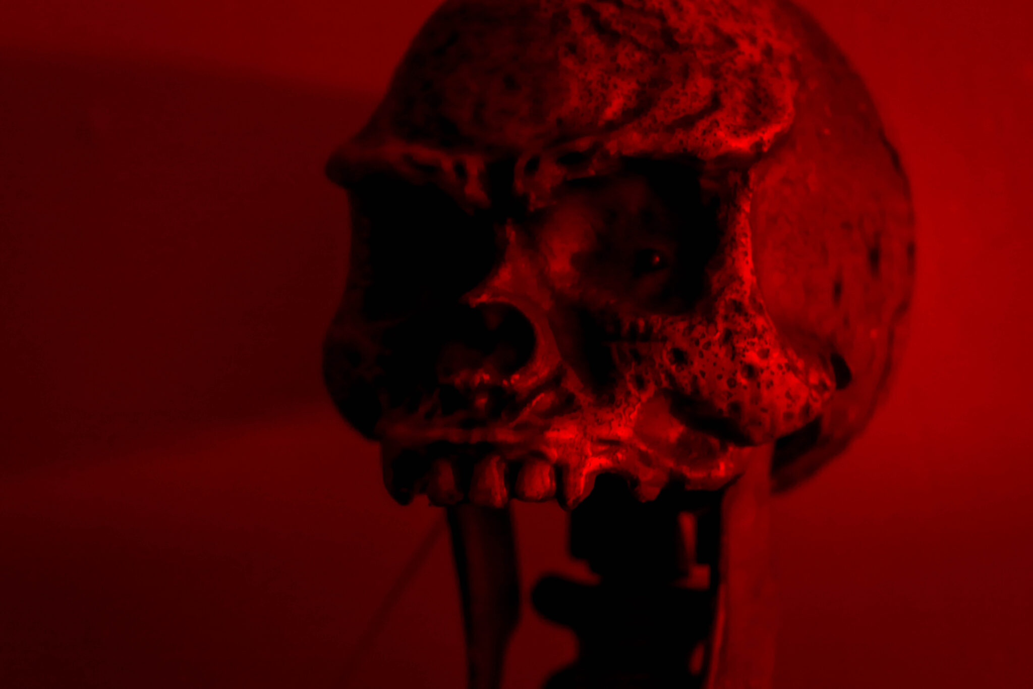 Adult Horror Movie Night, Doral South Florida on the Cheap