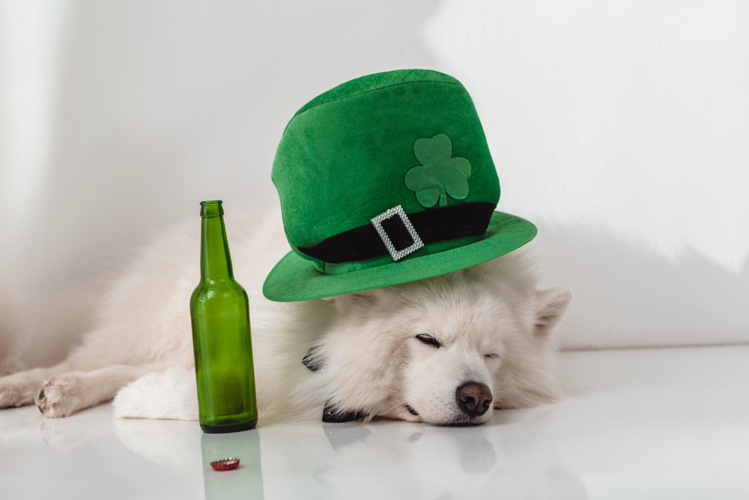St. Patrick's Day parades, festivals & deals in South Florida