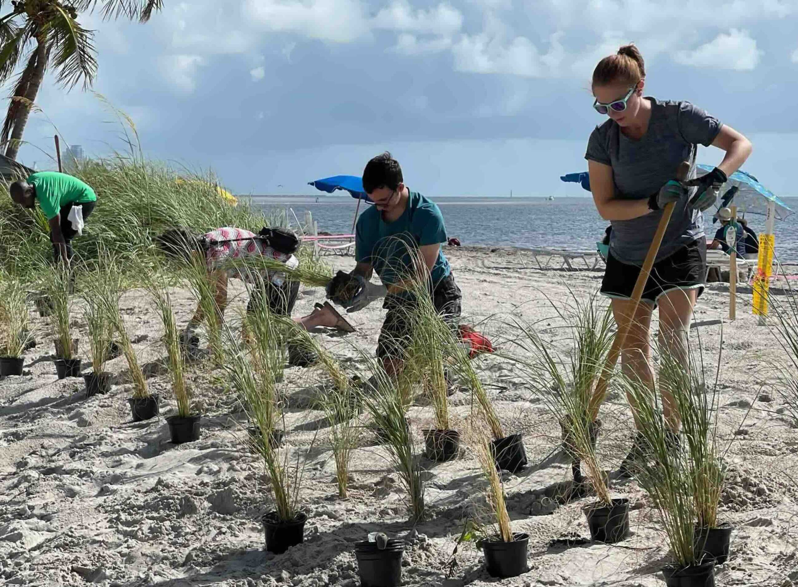 Register for a Volunteer Workday: Key Biscayne, Virginia Key