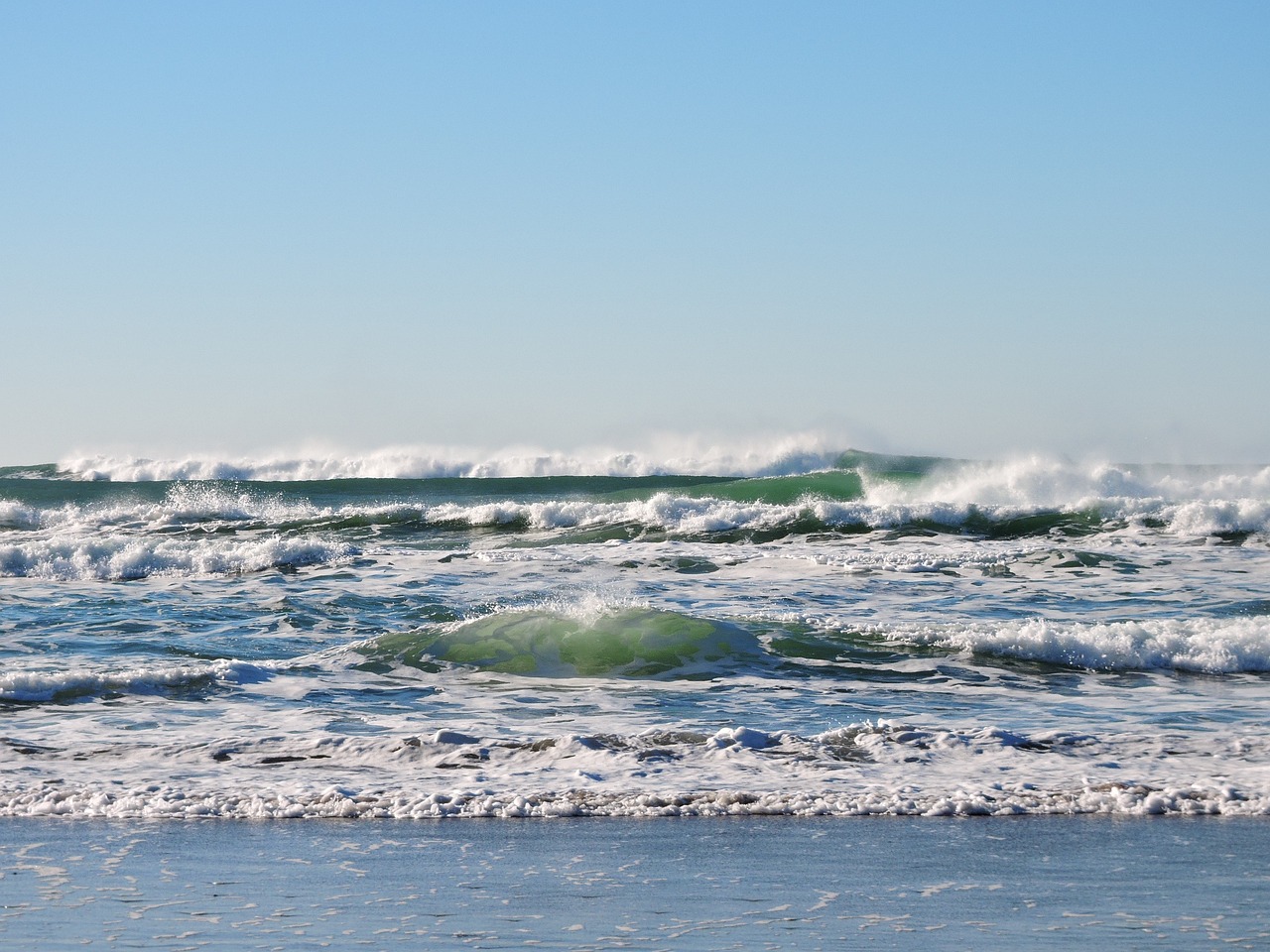 Free oceanside event in Hollywood for World Oceans Day