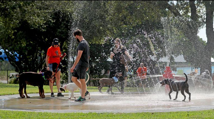 Woofing Waters in Deerfield Beach is for the dogs