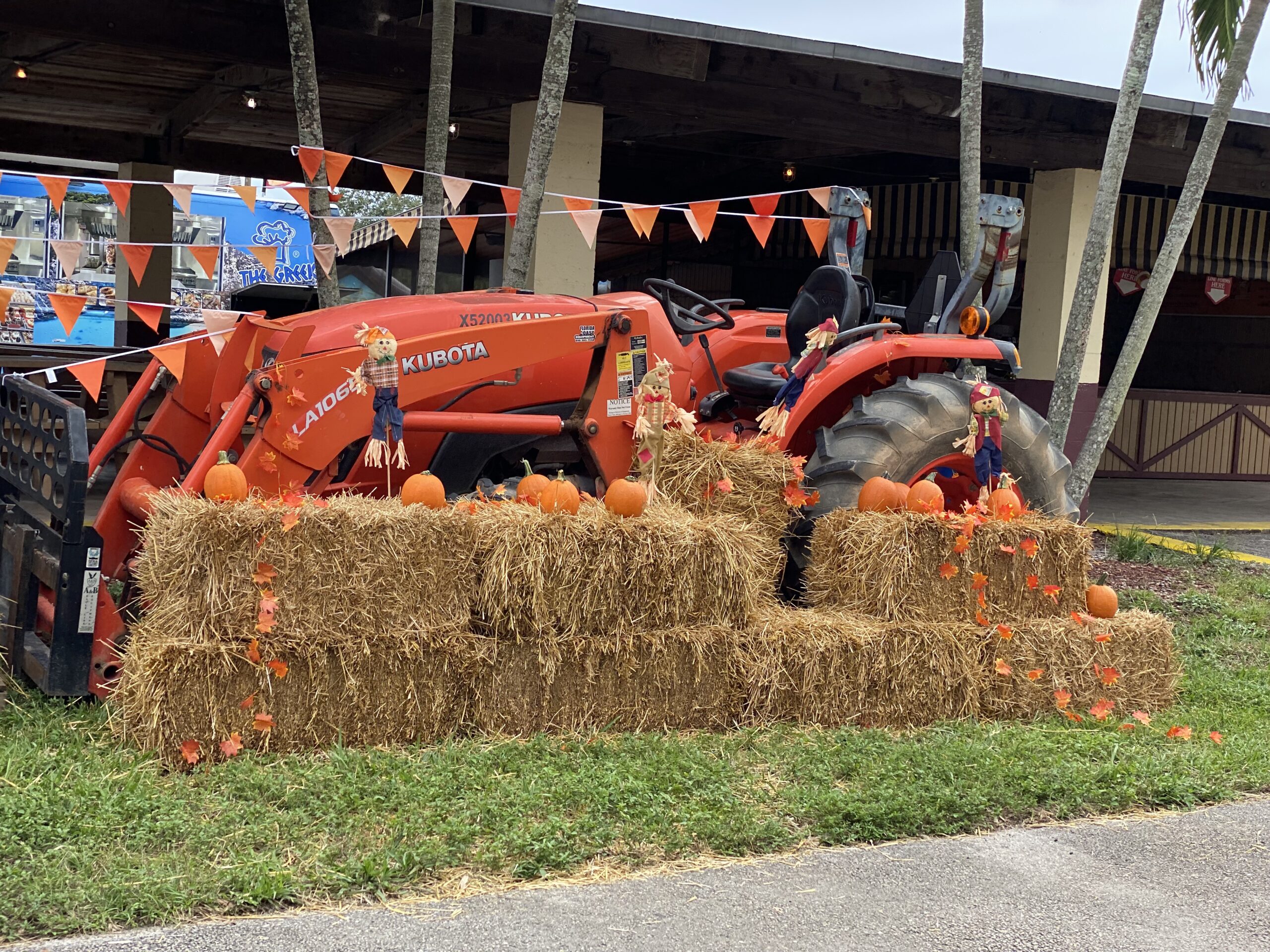 Fall festivals in Broward 2025 - South Florida on the Cheap