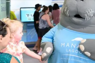 Manatee Lagoon