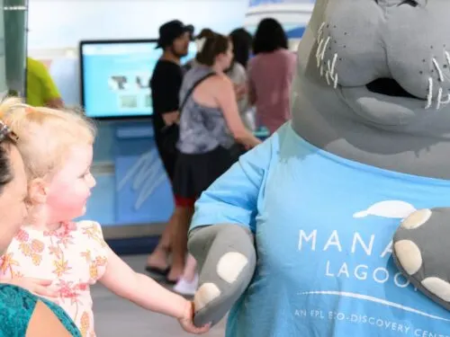 Manatee Lagoon