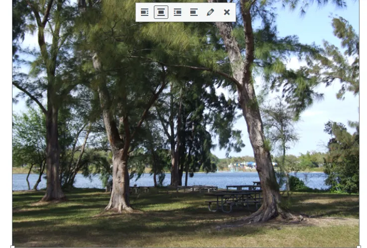 Live entertainment at Broward parks