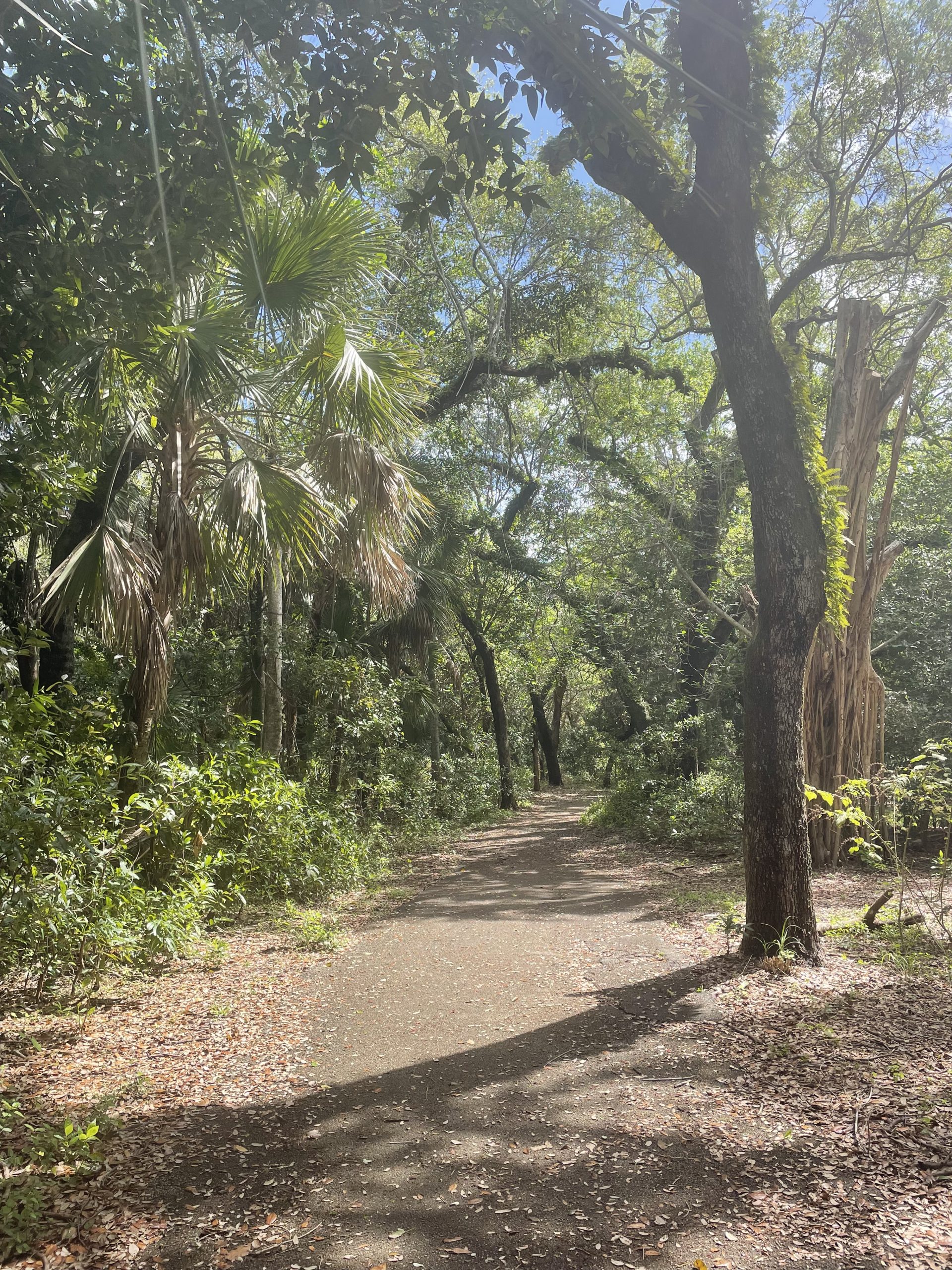 Best free and cheap things to do in May in Miami-Dade