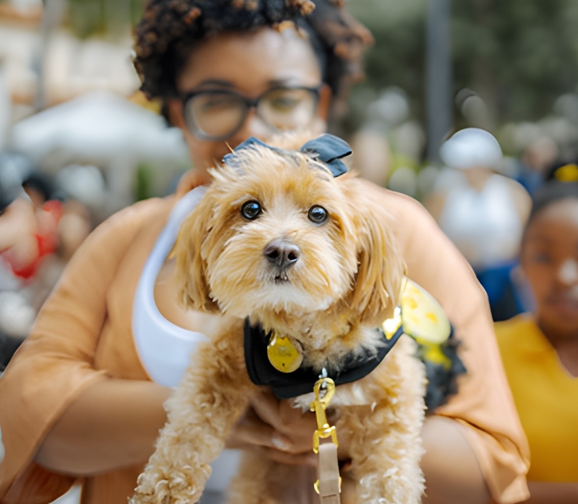 Pup adoption event at CityPlace, June 21, in West Palm Beach