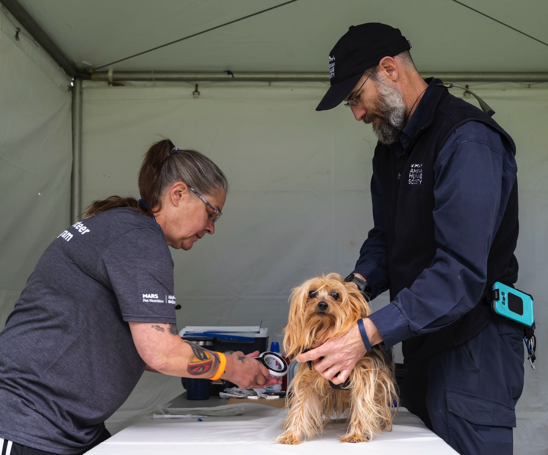 Free Pet Wellness Clinic, Belle Glade library, Oct. 30