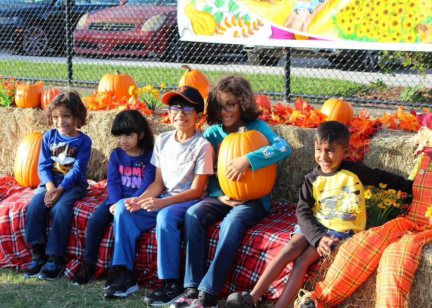 Lumberjacks, line dancing & live band at free Fall Harvest Festival in Coconut Creek