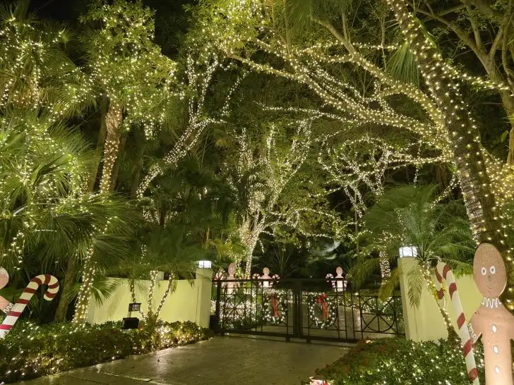 Hillsboro Mile holiday lights. Photo by Teresa Mears 2025