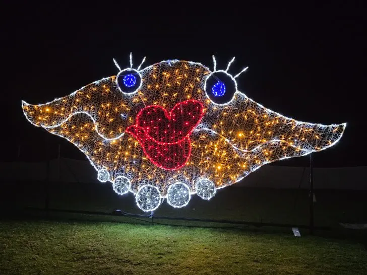 Deerfield Beach light display 2025 Teresa Mears