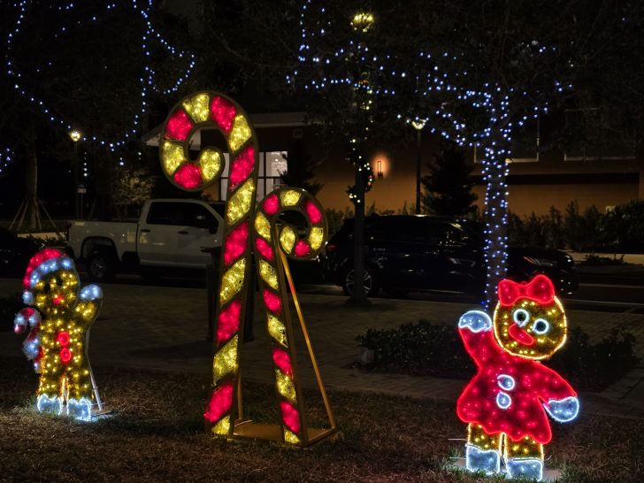Coral Springs City Hall lights Teresa Mears