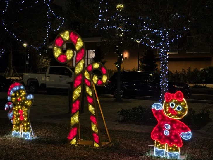 Coral Springs City Hall lights Teresa Mears