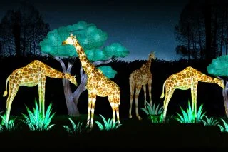 https://www.lioncountrysafari.com/lanterns