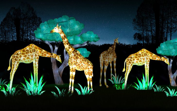https://www.lioncountrysafari.com/lanterns