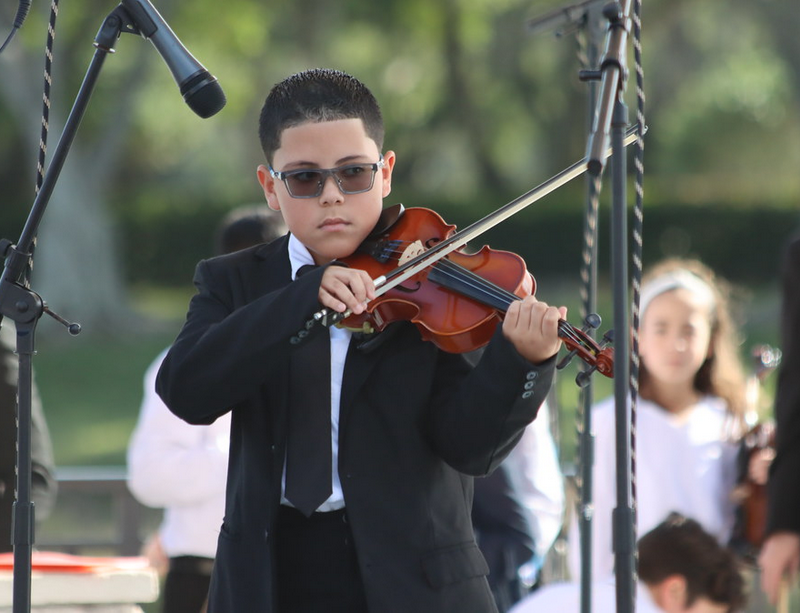 Free entry for Arts Day festival in Weston with performances & activities