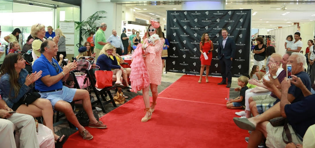 Furry Fashionistas on display at Valentine's Day Doggie Adoption Expo & Fashion event