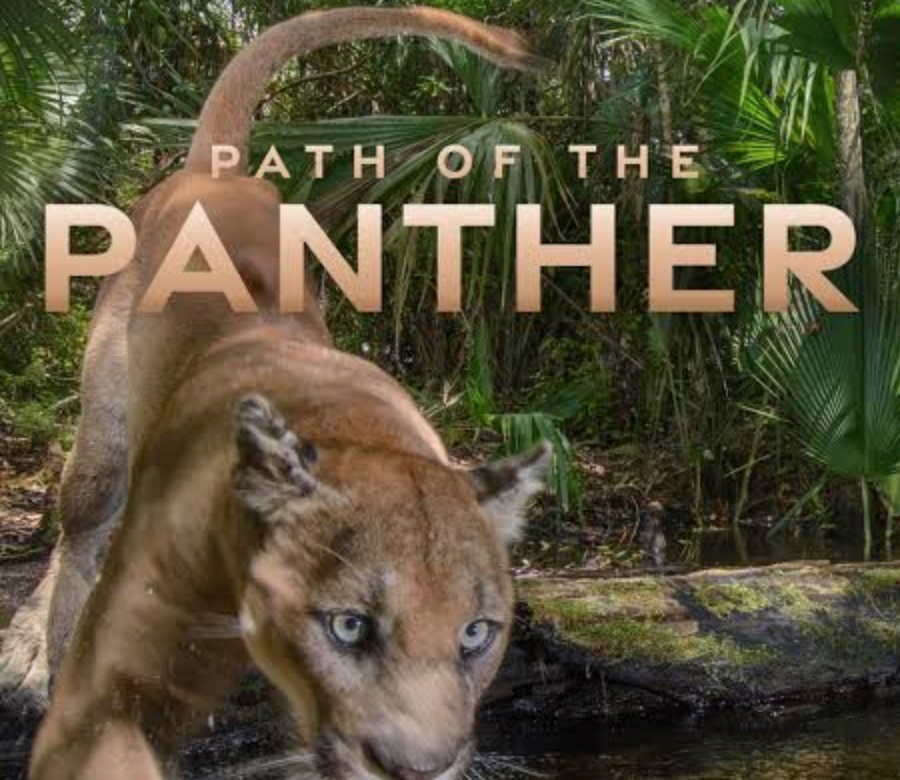 Movie Night On The Lawn, Busch Wildlife, Jupiter, Feb. 28