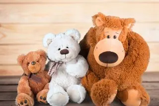 teddy bears free concert for kids by Florida Grand Opera