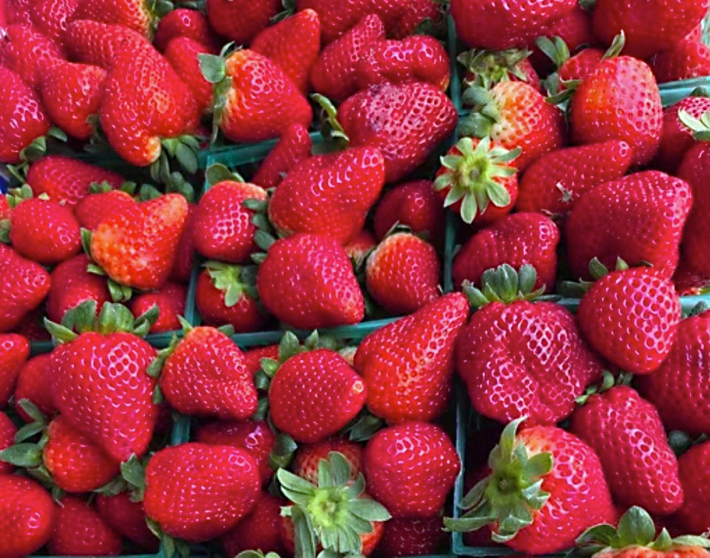 Final seasonal Saturday: Delray GreenMarket, May 16
