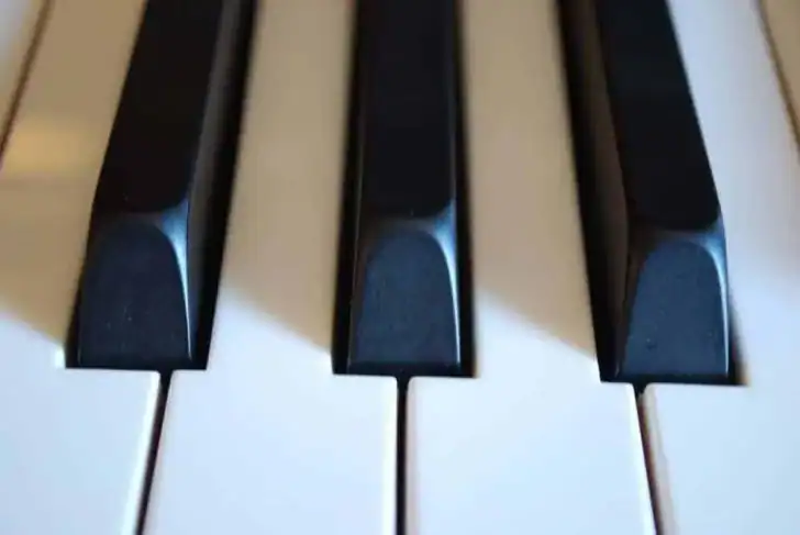 Free New World School of the Arts faculty recital
