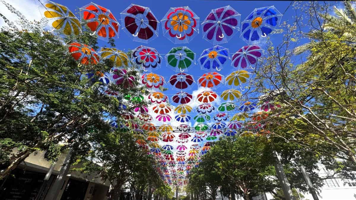 Free coffee with friends and new public installation in Coral Gables
